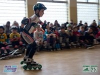 2013-03-17-325-skate-division-cup-in-line-force-motion