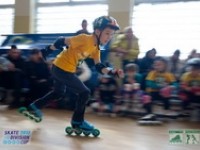 2013-03-17-340-skate-division-cup-in-line-force-motion